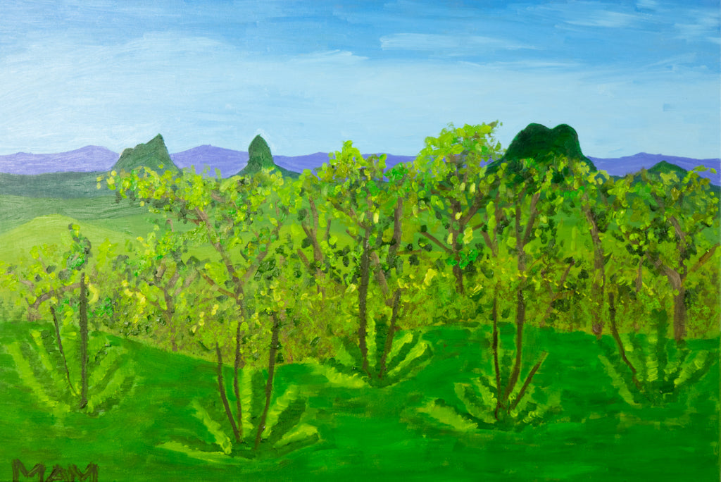 VIEW FROM BRIBIE ISLAND