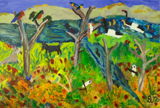 NOISY PITTA OF SHERWOOD