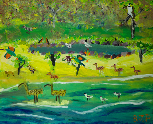 BIRD SANCTUARY AT BANKSIA BEACH