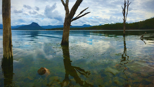 Lagoon with trees partially submerged in water, mountains in the background