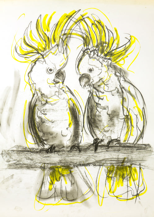 CRESTED CONVERSATIONS