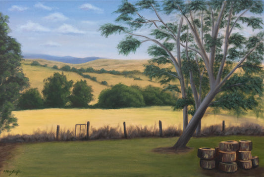 AUSTRALIAN RURAL BACKYARD