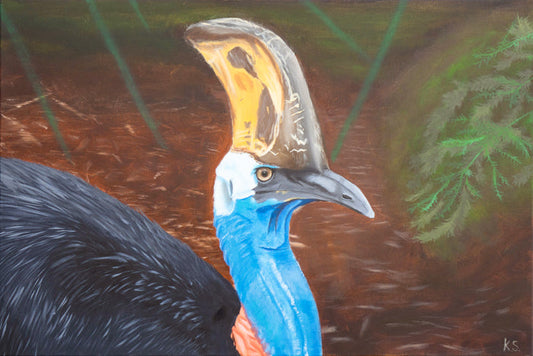 THE CASSOWARY