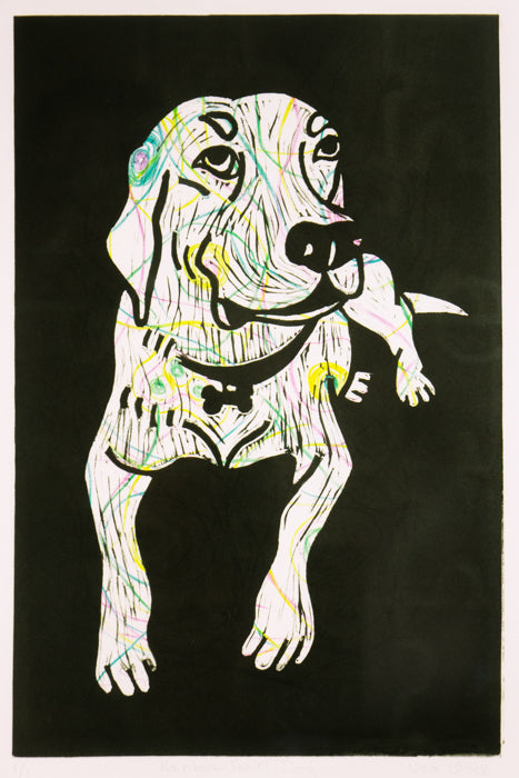 RAINBOW SWIRL DOG 1/1