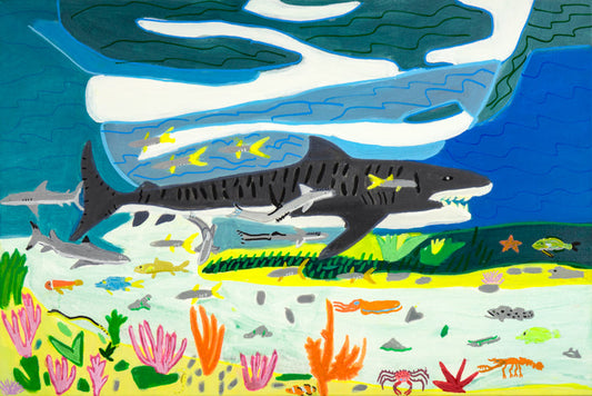 STALKING TIGER SHARK