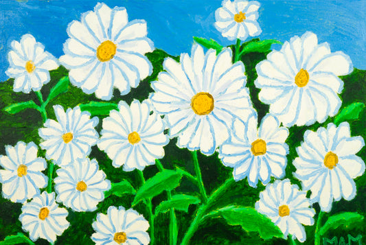 DAISY FLOWERS