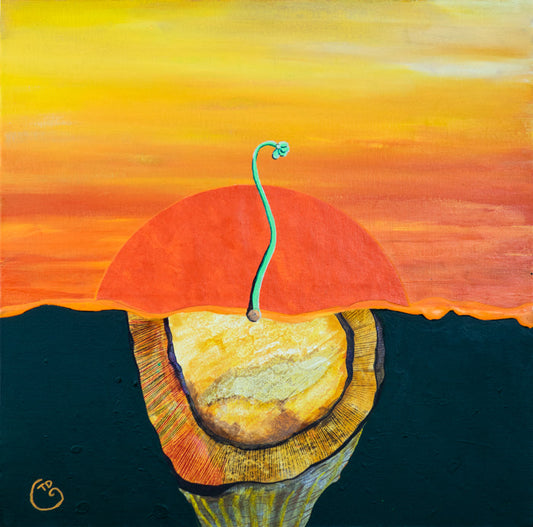 SEEDLING AT SUNRISE